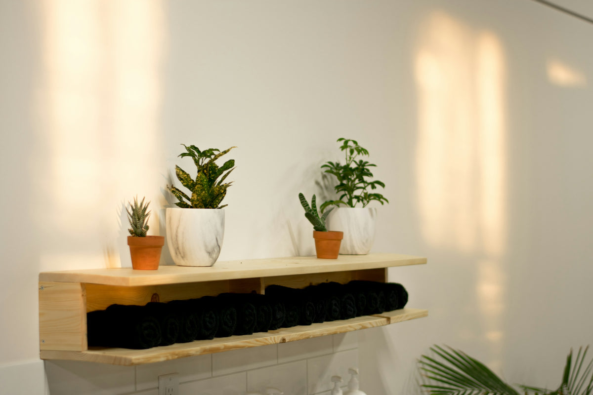 Morning sun across a cream wall above a light wooden shelf with potted plants